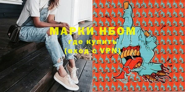 молекула духа Верхний Тагил