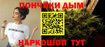 гидропоника Бийск