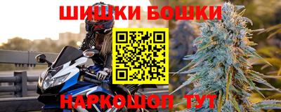 гашик Берёзовский