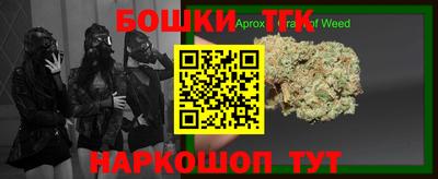 гашик Берёзовский