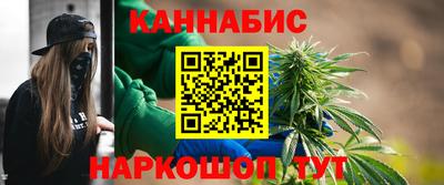 гашик Берёзовский