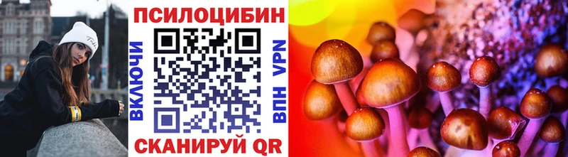 Псилоцибиновые грибы GOLDEN TEACHER  Хабаровск 