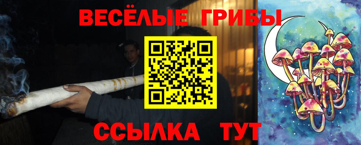 Хабаровск  Псилоцибиновые грибы мухоморы  Псилоцибиновые грибы GOLDEN TEACHER  Вход с VPN 