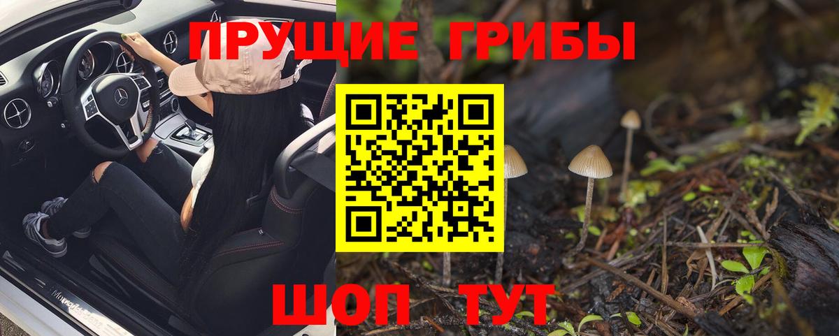 Галлюциногенные грибы Magic Shrooms Хабаровск