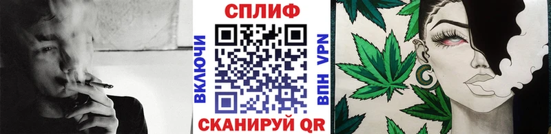 Канабис MAZAR  как найти   Хабаровск 